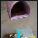 송이약국 이미지