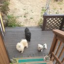 패리앤하우스 이미지