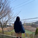 매정임대 이미지
