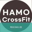 하모 크로스핏 이미지