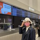 서울 헌릉과 인릉 이미지