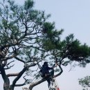 금선농장 이미지