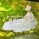 미디어창고2 | 클로드 모네 울산 장생포 문화창고 미디어아트 관람 후기
