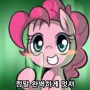 오늘기념일 이미지