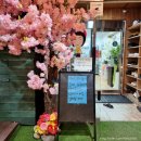 보영카센타 이미지