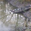 저수지여관 이미지