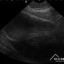 제주24시숨동물의료센터 이미지