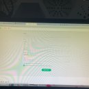 [롤렉스 성골 후기] 롤렉스 예약 및 구매 방법 총정리 (매장사이트 총정리, 예약팁, 상품권 결제, 데이...