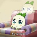 이집트 다합 프리다이빙 강습 추천 선수출신 어썸다이브 이수열t 후기 (feat. 다합 프리다이빙 정보)