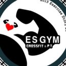 이에스짐 이미지