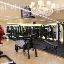 에이치 바디 핏 이미지