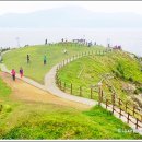 주례역 1번출구 마을버스 정류소 앞 | 바다와 바람의 힐링 여행 도장포와 바람의 언덕