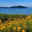 엘리에셀(ELIEZER) 이미지