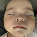 파크중기 | 터울 자매 육아일기💕 7개월&amp;42개월 아기 일상_잠퇴행,이앓이,중기이유식 시작,사이판 가족여행,유치원 입학