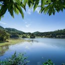 율량초교 이미지