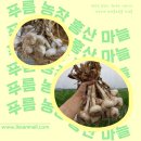 푸름농장 이미지