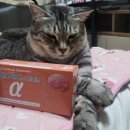 주식회사 포스포 - 2009 | 주식회사 포스포
