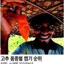 (주)고추나라