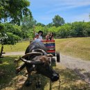 이스트팜 | 보홀 오셔니카 리조트 팡라오 예약 수영장 사우스팜 디럭스 풀뷰 객실 후기