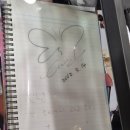 아이비스안경콘텍트 이미지