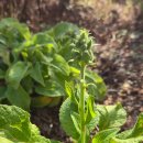 詩가 된 풍경 이미지