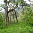 시인과촌장 이미지