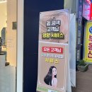 바이다교(by다교)