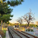 영종하늘도시15호 근린공원 | 영종도 여행지 코스 갈만한곳 | 송산공원 | 인천 섬여행 가볼만한곳