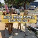 쥬쥬 | 아이랑 가기 좋았던 체험형 동물원 쥬쥬랜드 후기 🌿