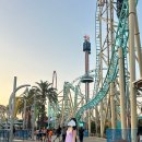 채희농장 | 2025.6.25 로스앤젤레스 7일차_너츠베리팜