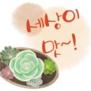 오늘의 아이 이미지