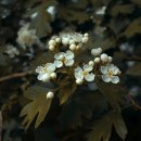 쿨노래연습장 이미지