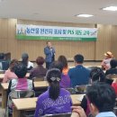 오정농수산물 도매시장 국제뉴스