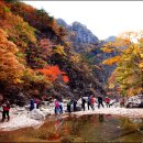 청송공방 이미지