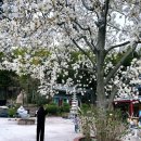 금융단지주유소 이미지