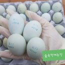 숲속청계농장 이미지