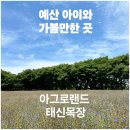 오두목장 | [예산] 아이와 가볼만한 곳ㅣ아그로랜드 태신목장 (무료 트랙터 강추)