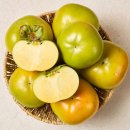 김해시농협공동사업법인 | 단감 수확시기 (태추, 진영)