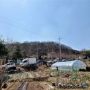 퇴계원2리 이미지