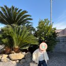 하귤별장 이미지