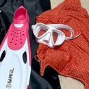 심소정화장실 | 프리다이빙 : 프리다이빙 몬스터 원데이 체험 강습 후기