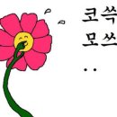 정수진풍년순대 이미지