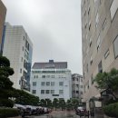 빅스공인중개사사무소 이미지