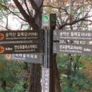 승학산 배드민턴장 이미지