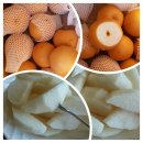 성복농장 이미지