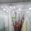 수국어논술학원