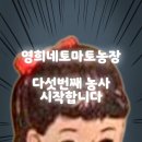 다섯번째토마토