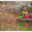 ♣★성주헤브랜드 금잉어 동영상 청암 편집 ★♣ 3 편 동영상 ﻿ 이미지