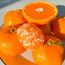 미란농장 이미지