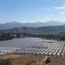 대림태양광발전소 이미지